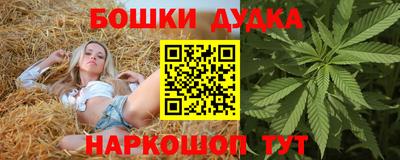 шишки Будённовск