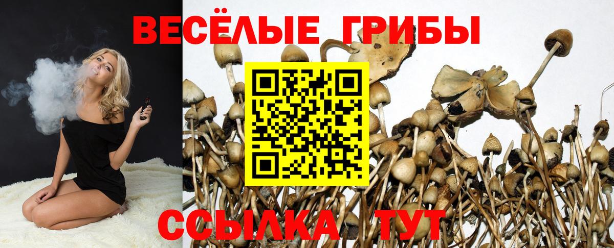 Балтийск  Галлюциногенные грибы мицелий  Вход с VPN 